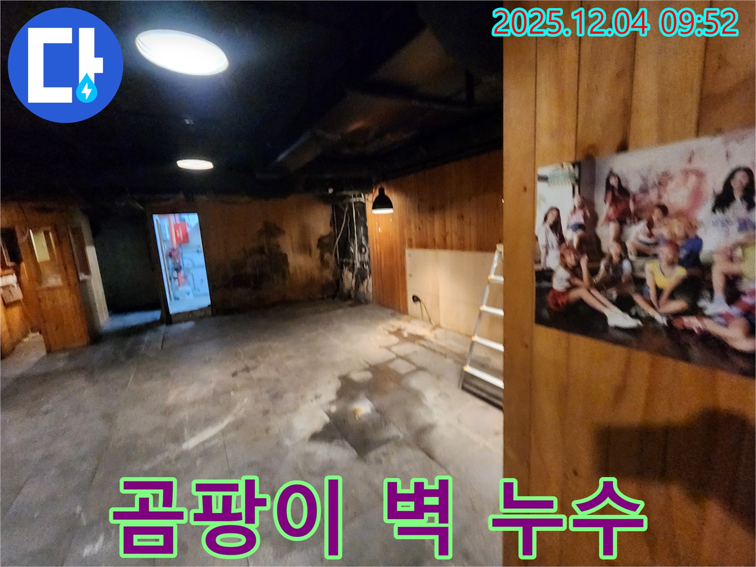 마장동 건물 곰팡이 벽 누수 - 누수 해결과 곰팡이 완벽 제거