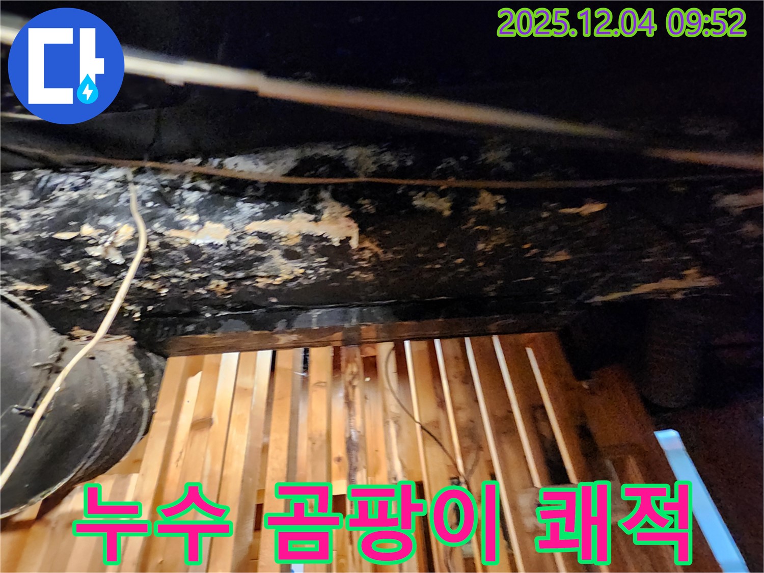 마조로 누수 - 곰팡이 걱정 없이 쾌적한 공간 되찾기