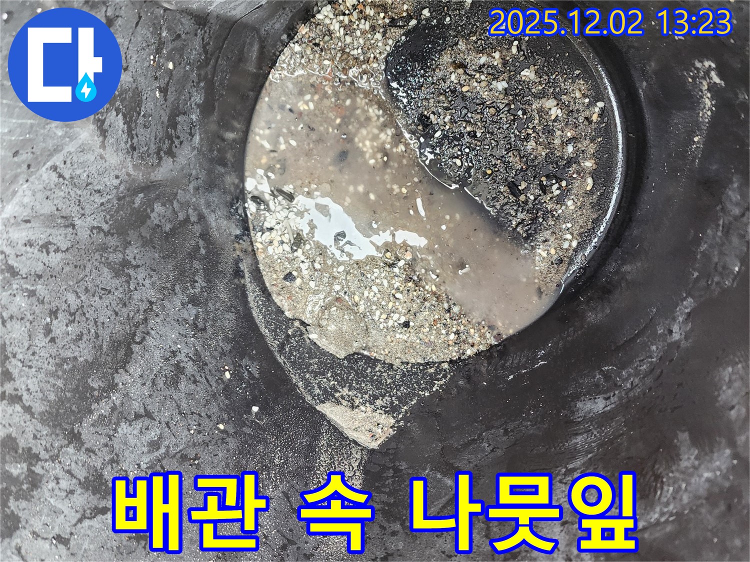 배관 속 나뭇잎 - 누수 유발 - 노곡리 누수