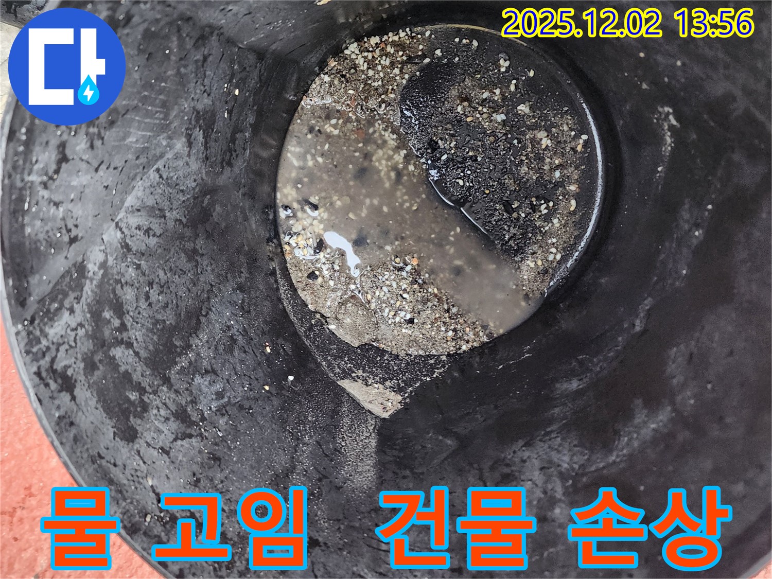 양동이 속 물 - 물 고임, 건물 손상 우려