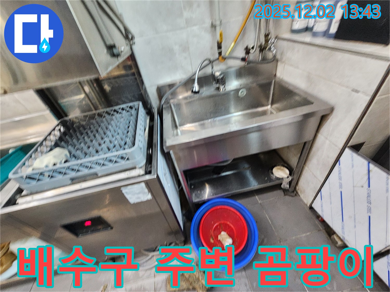 포천 노곡리 식당 식기세척기 옆 스테인리스 싱크대 배수구 주변 곰팡이 - 습기 때문에 곰팡이가 심하게 생겼네요.