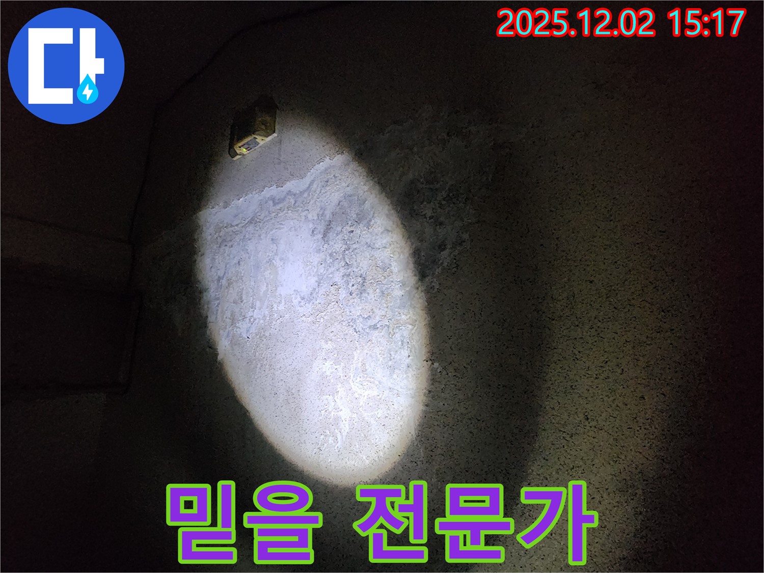 갈라진 벽 - 전문가