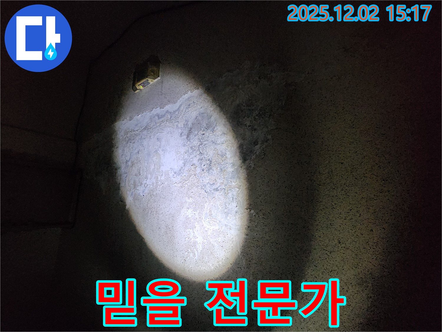 갈라진 벽 - 전문가