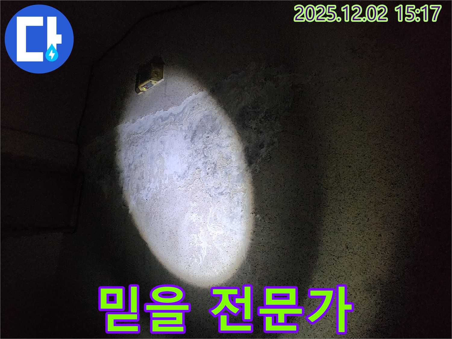 곰팡이 - 믿을 전문가