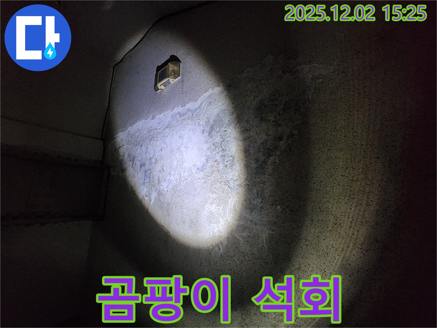 곰팡이와 석회 - 명백한 누수 증거