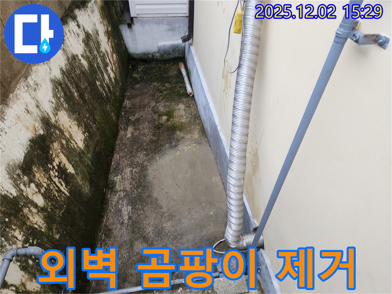 길명리 외벽 곰팡이 제거 - 쾌적한 환경으로!