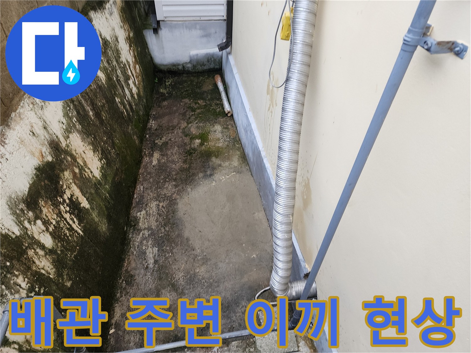 배관-주변-지면에-발생한-이끼와-습기