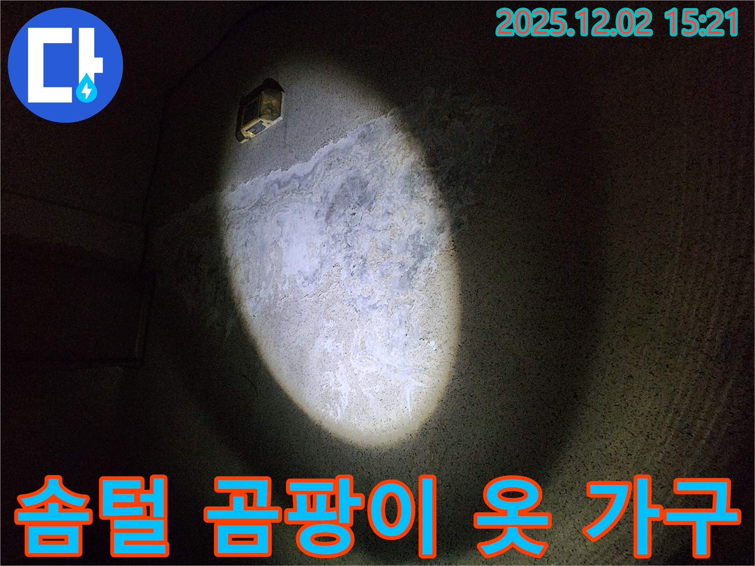 솜털 곰팡이가 옷이나 가구에도 옮을 수 있을까요?