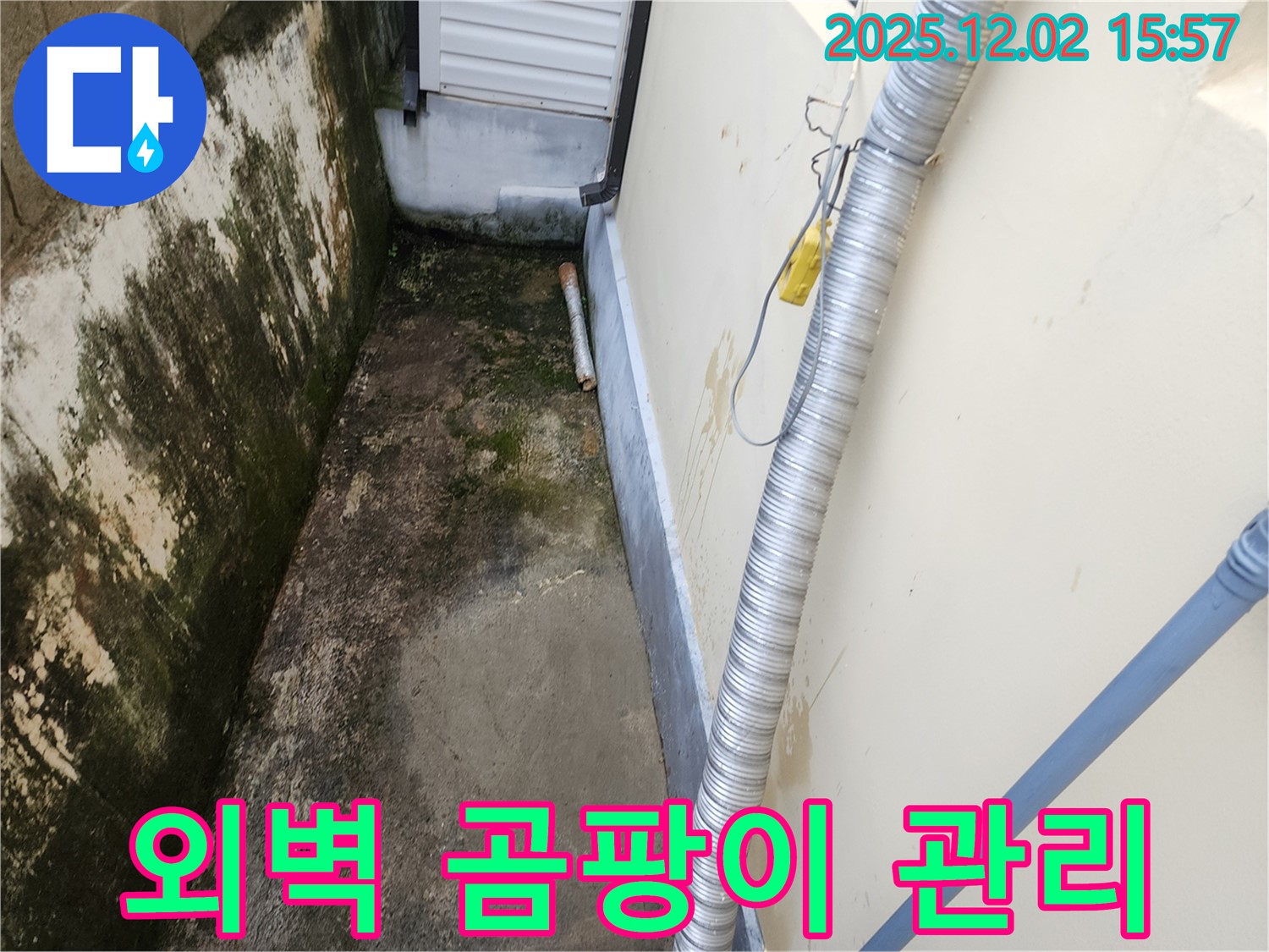외벽 곰팡이와 습기 - 좁은 공간 배수 문제, 꼼꼼한 시공과 철저한 사후 관리