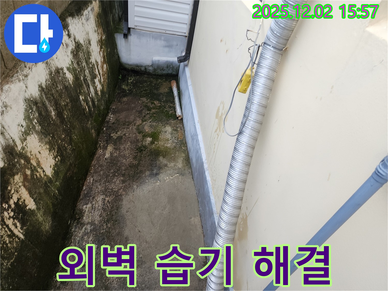 외벽 습기, 곰팡이 - 배수 문제, 꼼꼼한 점검과 확실한 해결