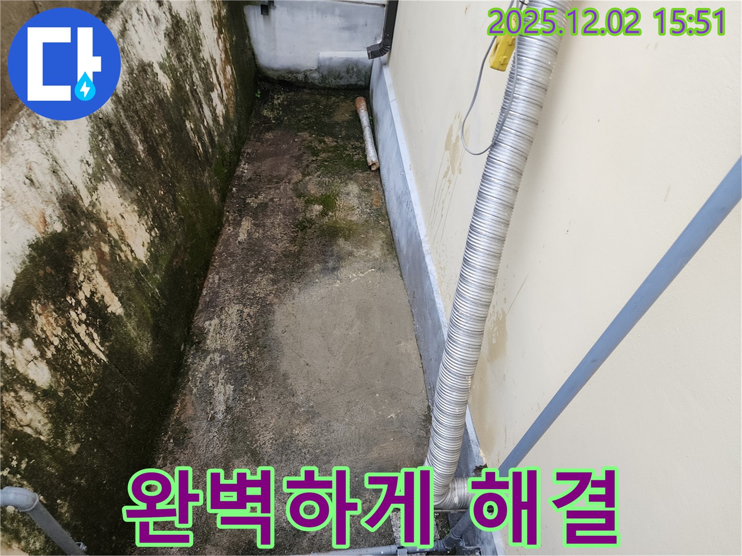 일동면 좁은 공간 곰팡이 제거 - 완벽한 시공으로 곰팡이, 냄새, 습기 문제 해결!