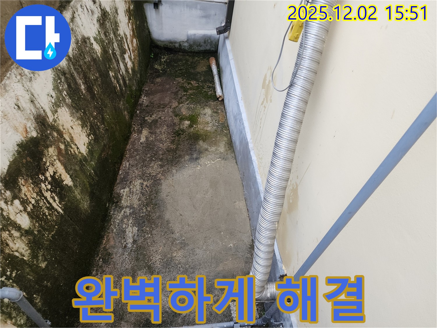 일동면 좁은 공간 곰팡이 제거 - 완벽한 시공으로 곰팡이, 냄새, 습기 문제 해결!