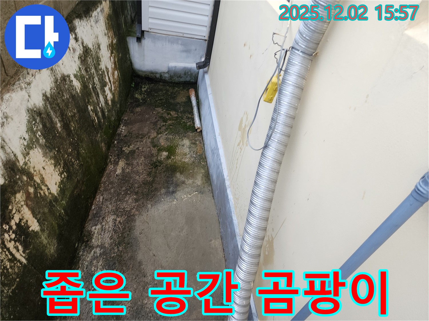 좁은 공간 외벽 곰팡이와 습기 - 환기 문제 진단