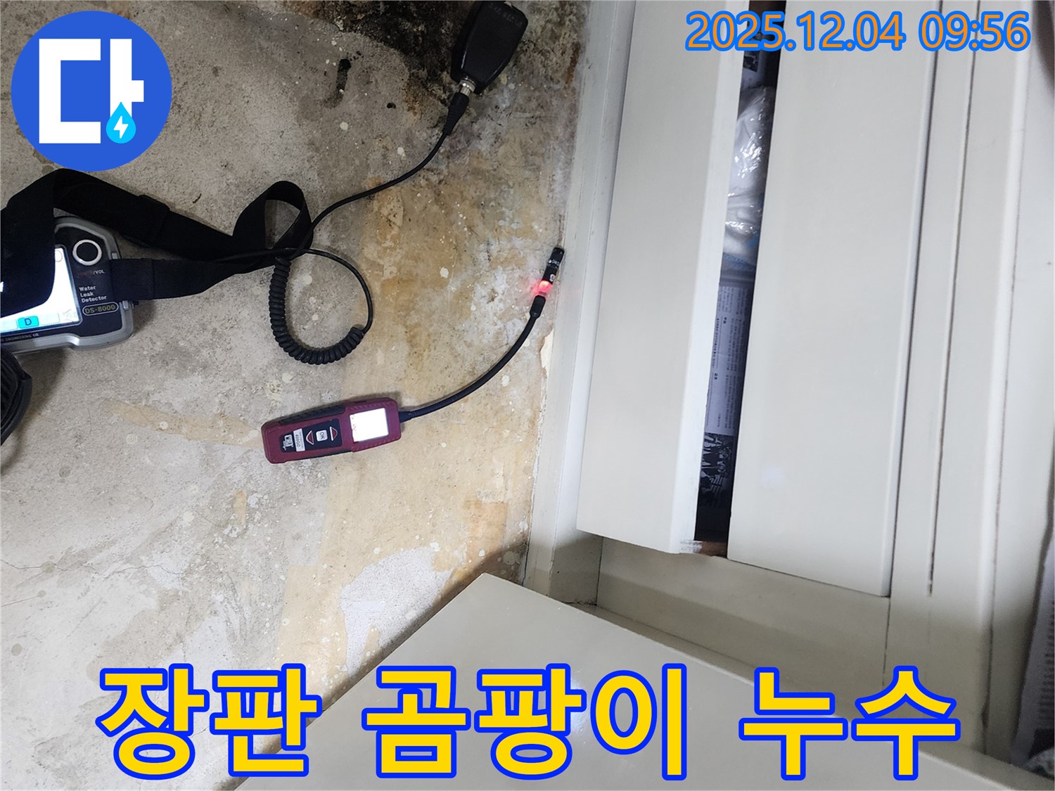 곰팡이 핀 장판 밑 - 누수 원인 해결이 우선, 곰팡이 제거 시공