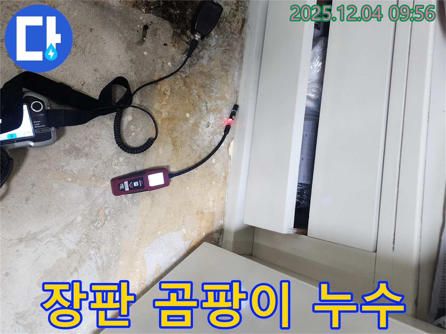 젖은 장판 밑 곰팡이 - 누수탐지로 곰팡이 제거, 쾌적한 공간