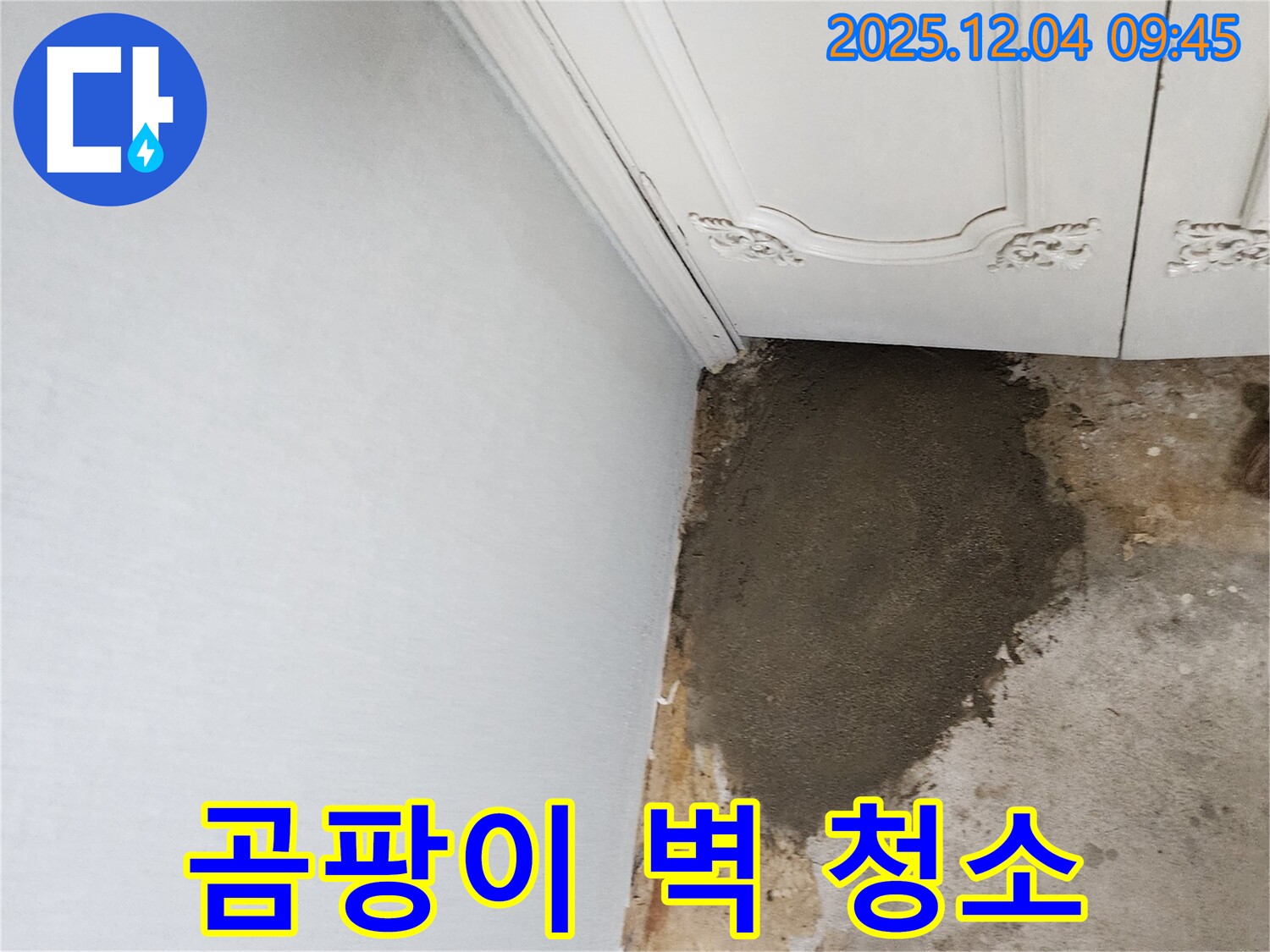 포천시 일동면 유동리 누수 - 곰팡이 핀 벽, 깨끗하게 싹 청소 완료!
