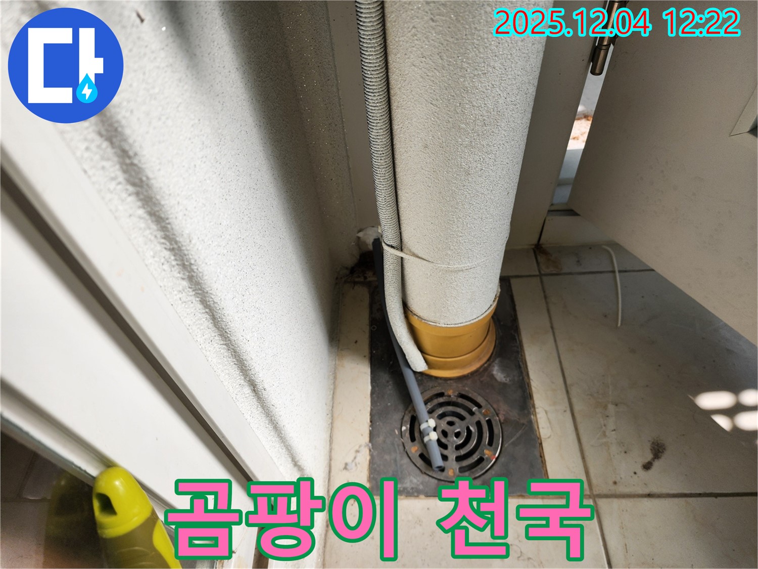 세탁기 주변 - 곰팡이 발생