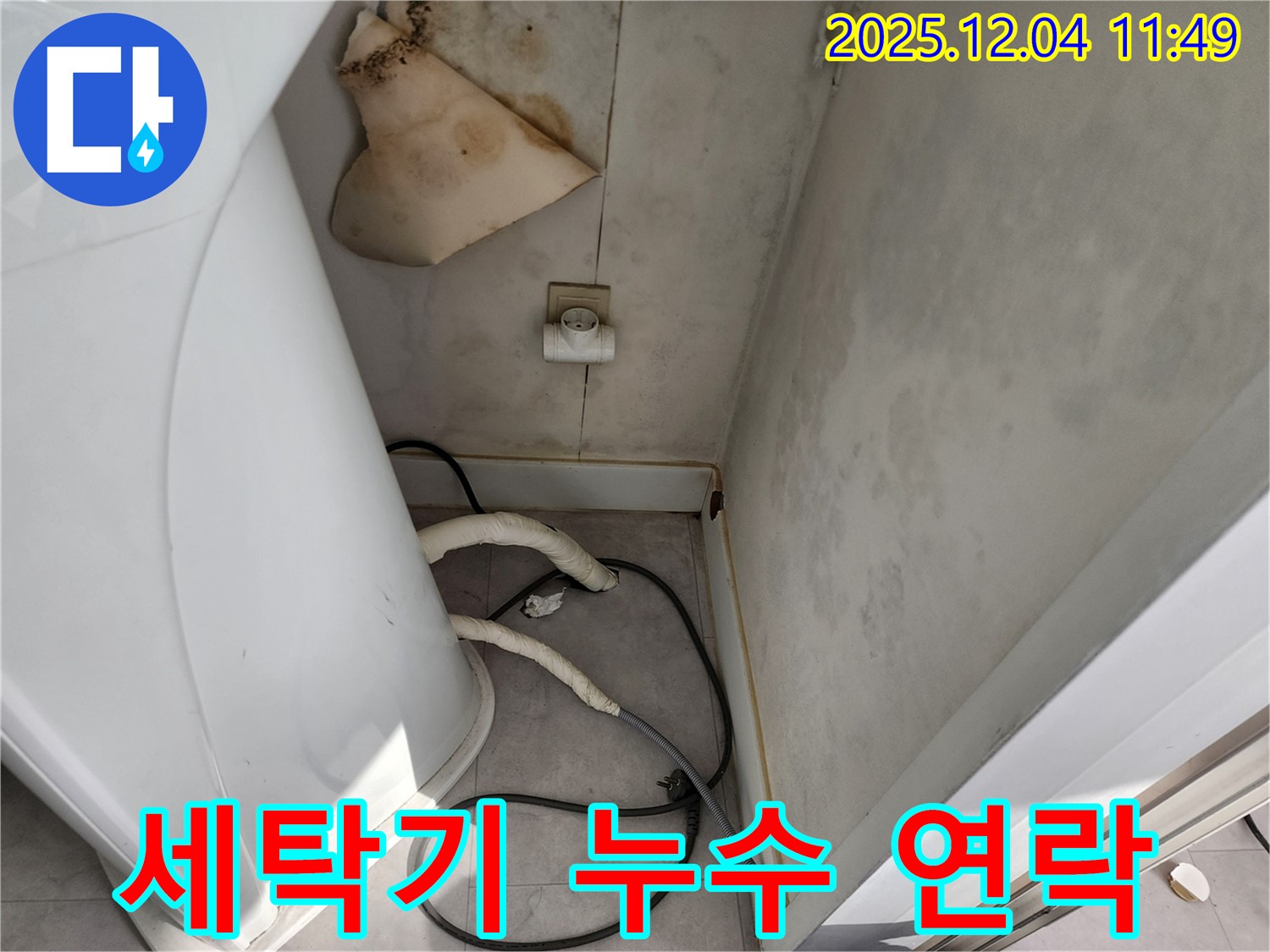일동면 - 세탁기 뒤 젖은 벽 - 콘센트 곰팡이 - 감전사고 위험 - 즉시 연락 주세요 - 24시간 대기