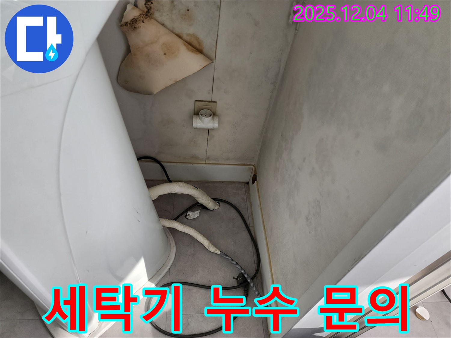 일동면 - 세탁기 뒤 젖은 벽 - 콘센트 곰팡이 - 감전사고 위험 - 즉시 전문가에게 문의 - 24시간 대기