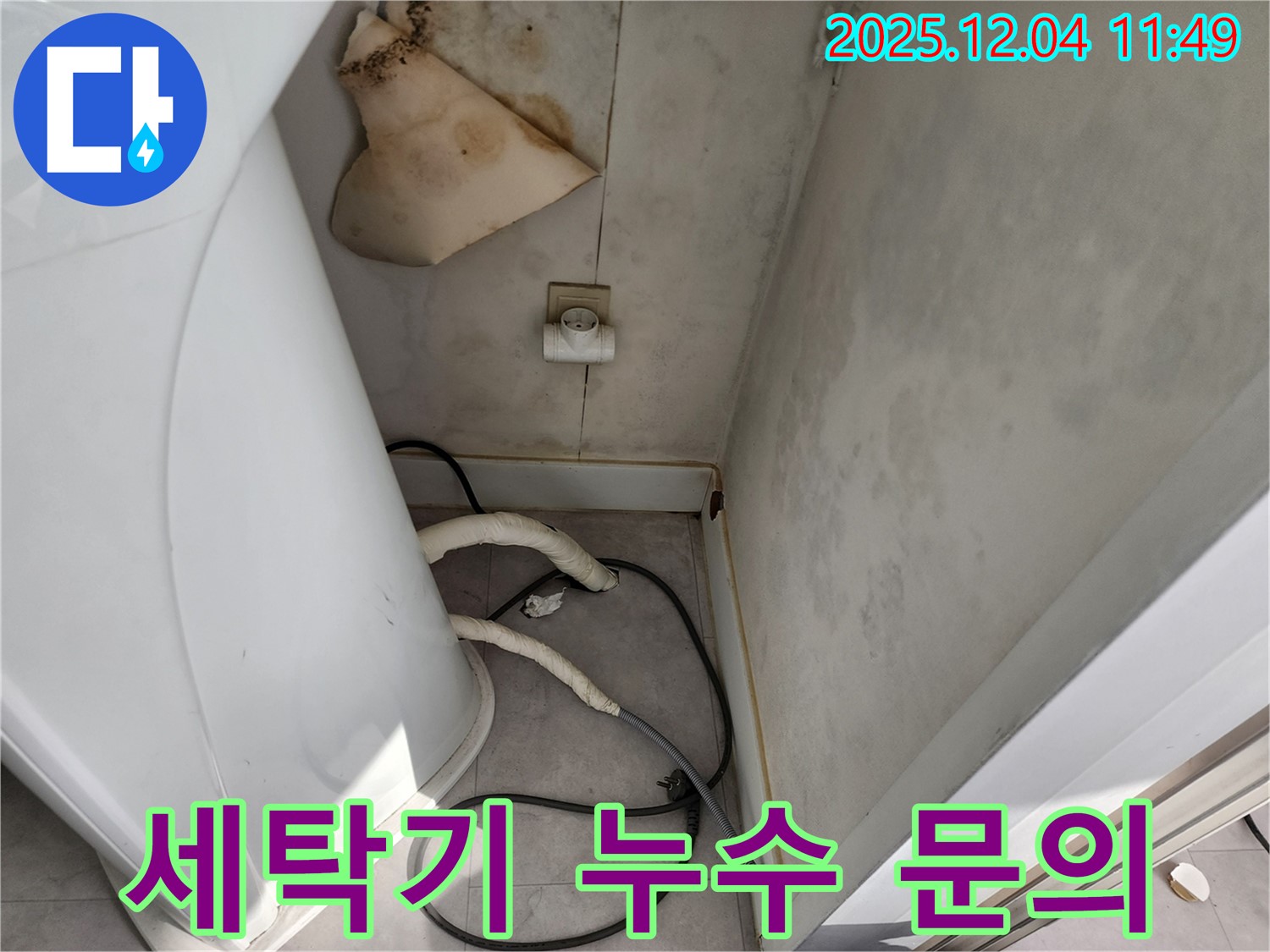 일동면 - 세탁기 뒤 젖은 벽 - 콘센트 곰팡이 - 감전사고 위험 - 즉시 전문가에게 문의 - 24시간 상담