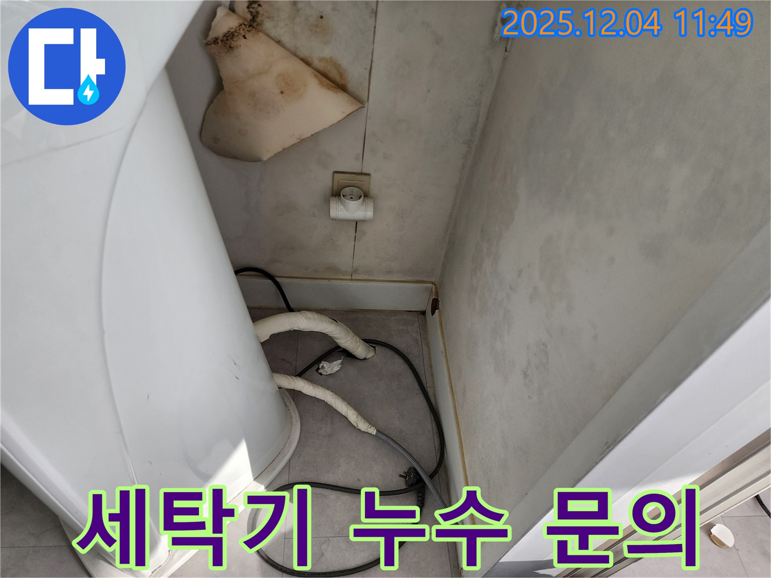 일동면 - 세탁기 뒤 젖은 벽 - 콘센트 곰팡이 - 감전사고 위험 - 즉시 전문가에게 문의 - 24시간 출동