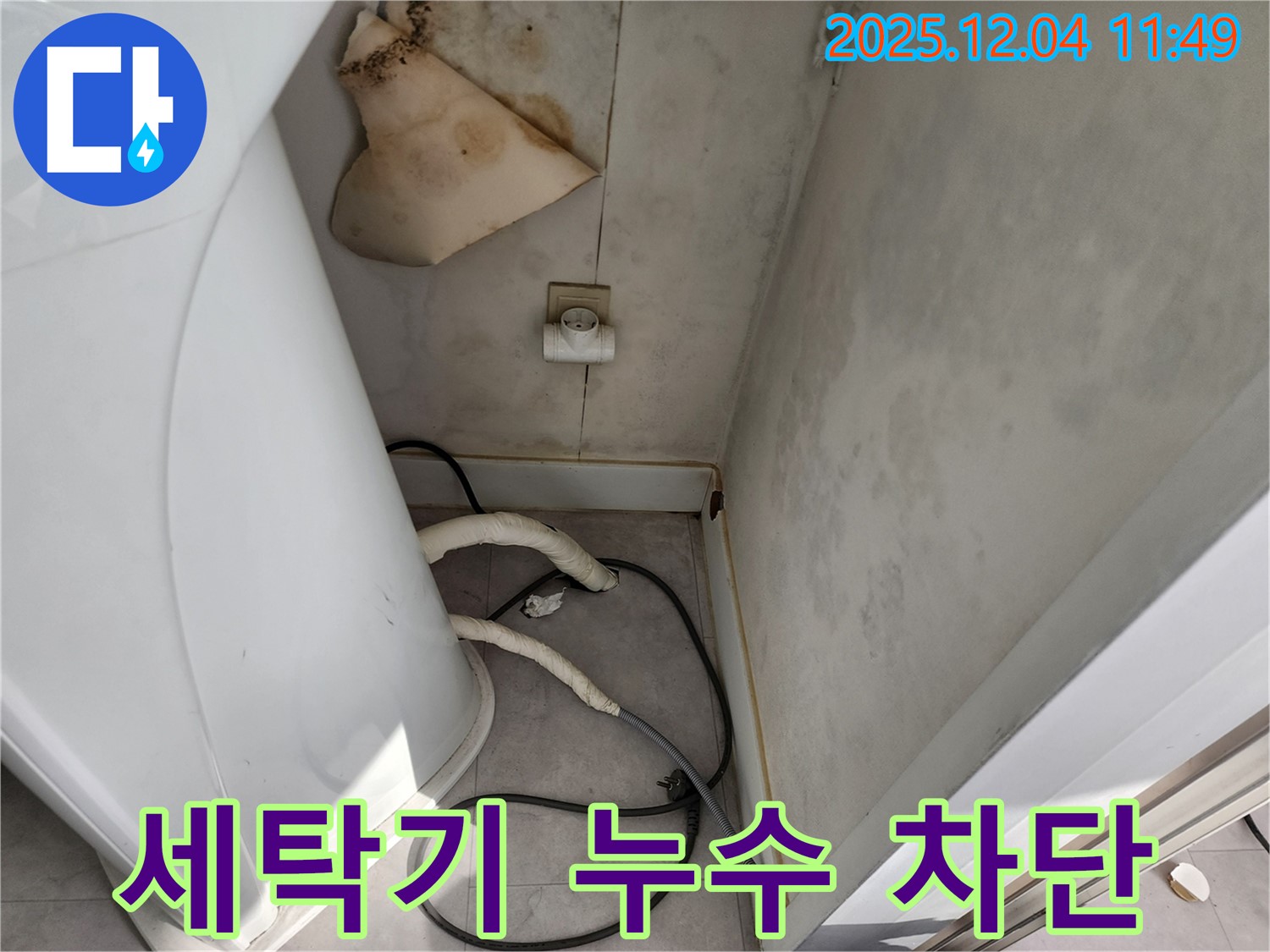 일동면 - 세탁기 뒤 젖은 벽 - 콘센트 곰팡이 - 감전사고 위험 - 즉시 전원 차단 후 연락