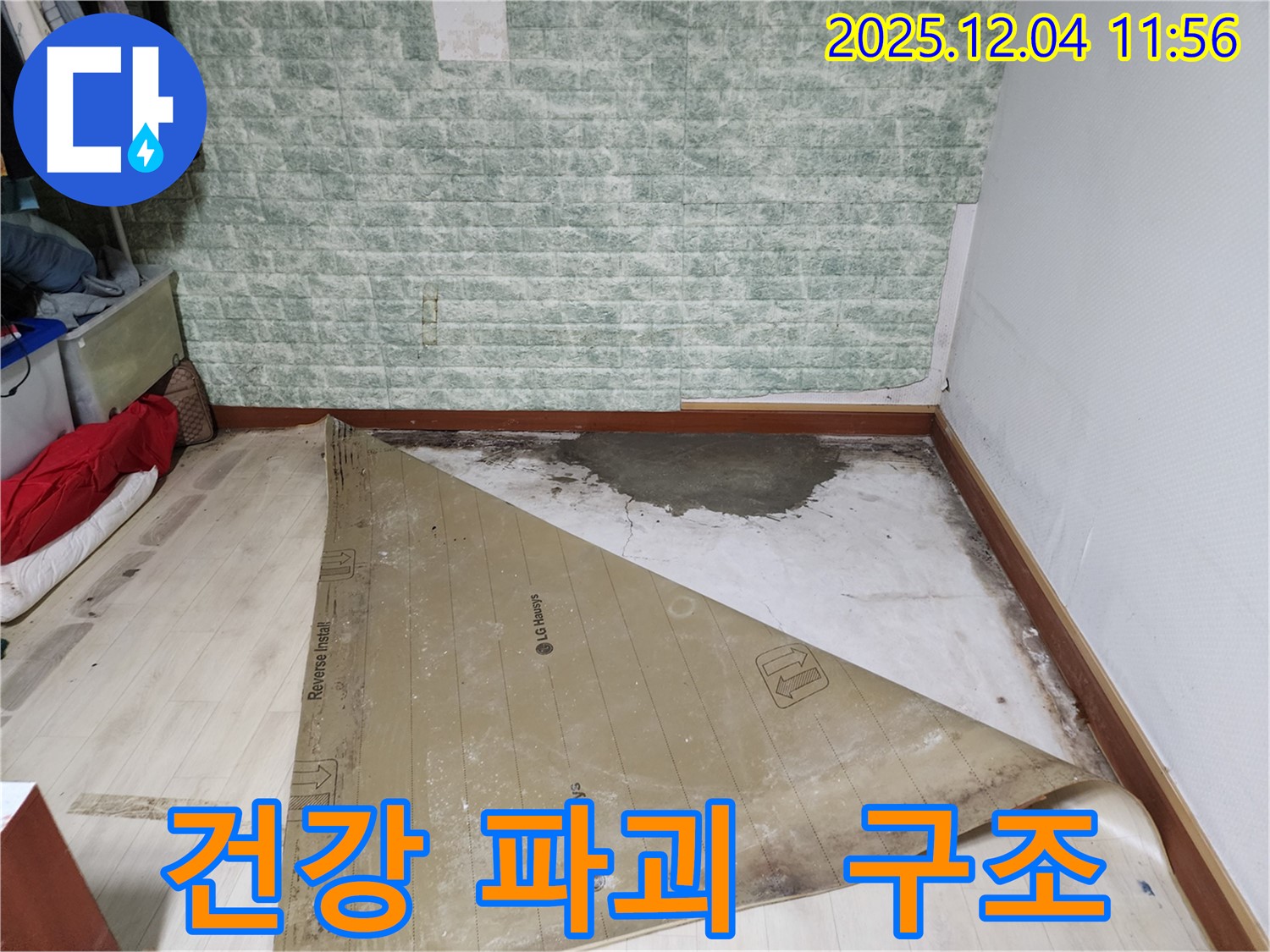 포천 누수 - 썩은 장판 곰팡이 건강 파괴 긴급 구조