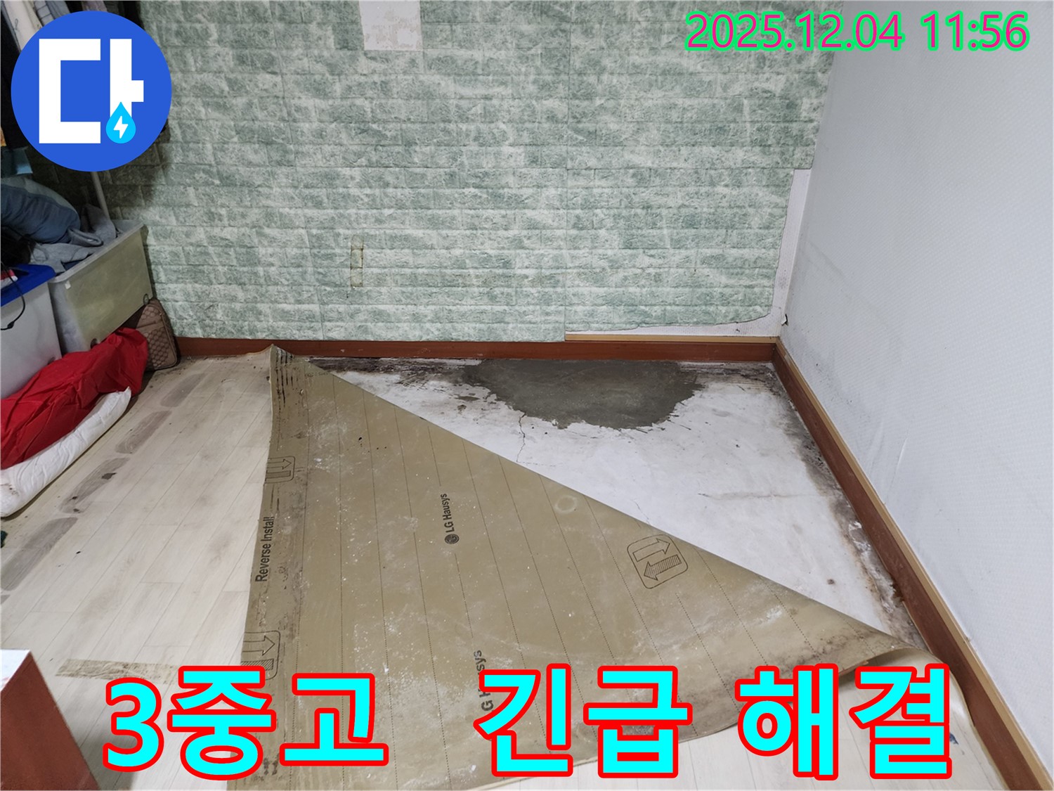 포천 누수 - 썩은 장판 곰팡이 습기 3중고 긴급 해결
