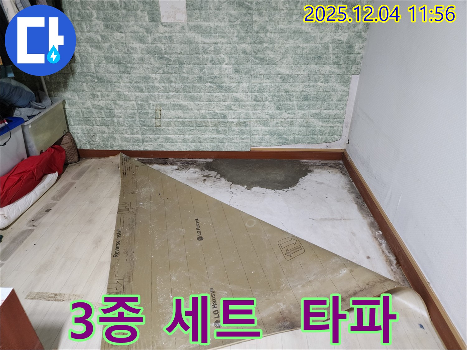 포천 누수 - 썩은 장판 곰팡이 악취 3종 세트 완벽 타파