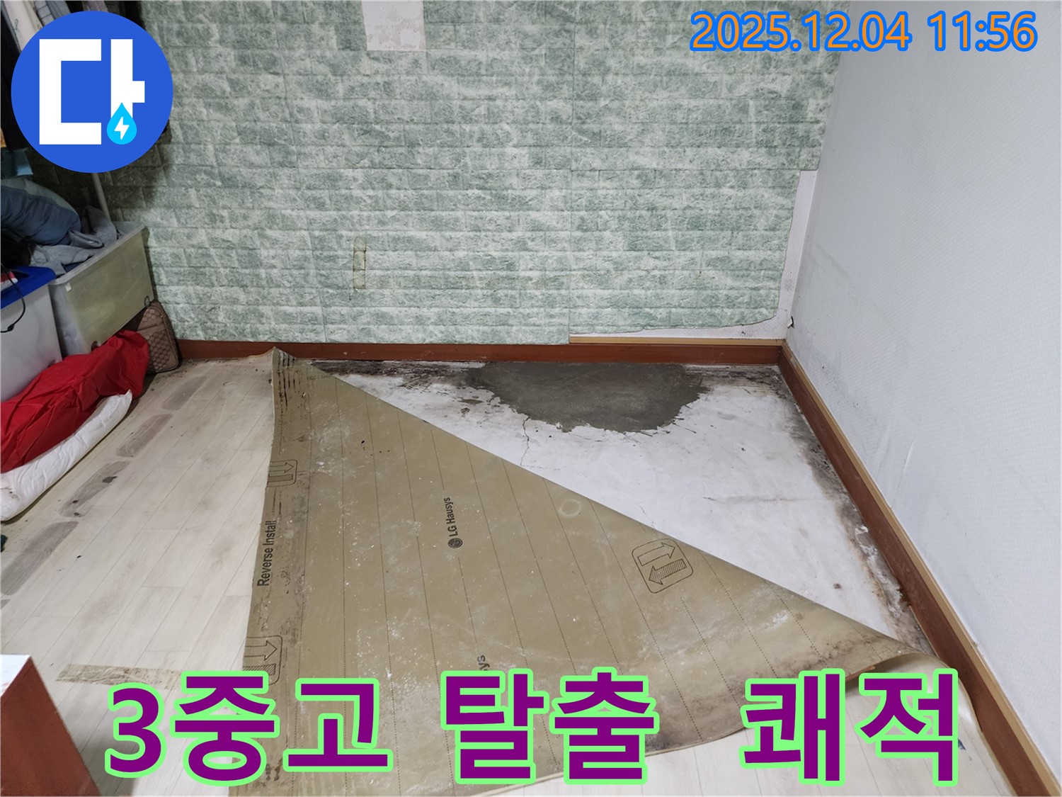 포천 누수 - 썩은 장판 곰팡이 악취 3중고 완벽 탈출
