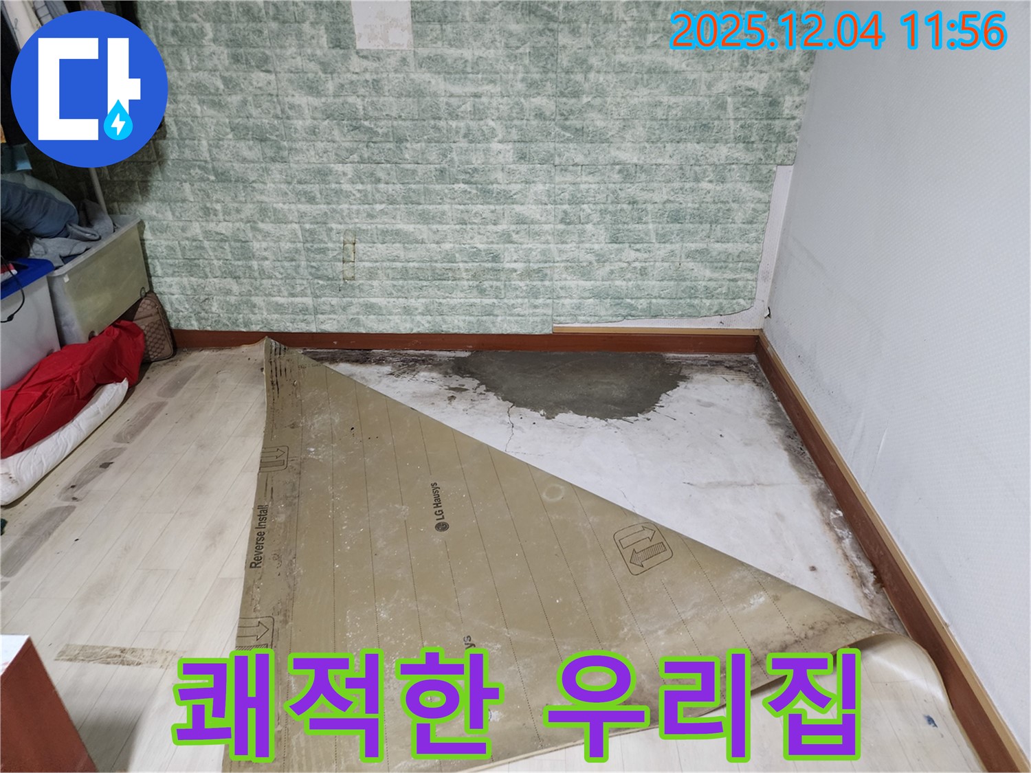 포천 누수 - 썩은 장판 곰팡이 악취 3중고 완벽 해결 쾌적한 우리집