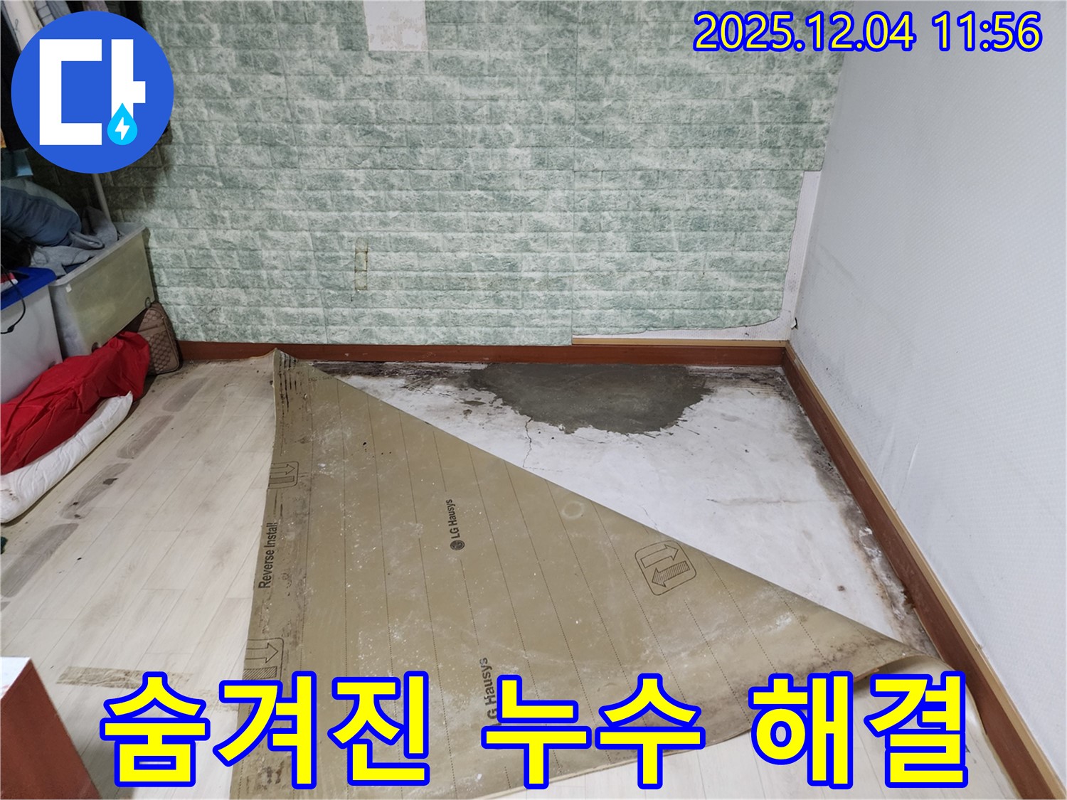포천 누수 - 썩은 장판 밑 숨겨진 누수 곰팡이 완벽 해결