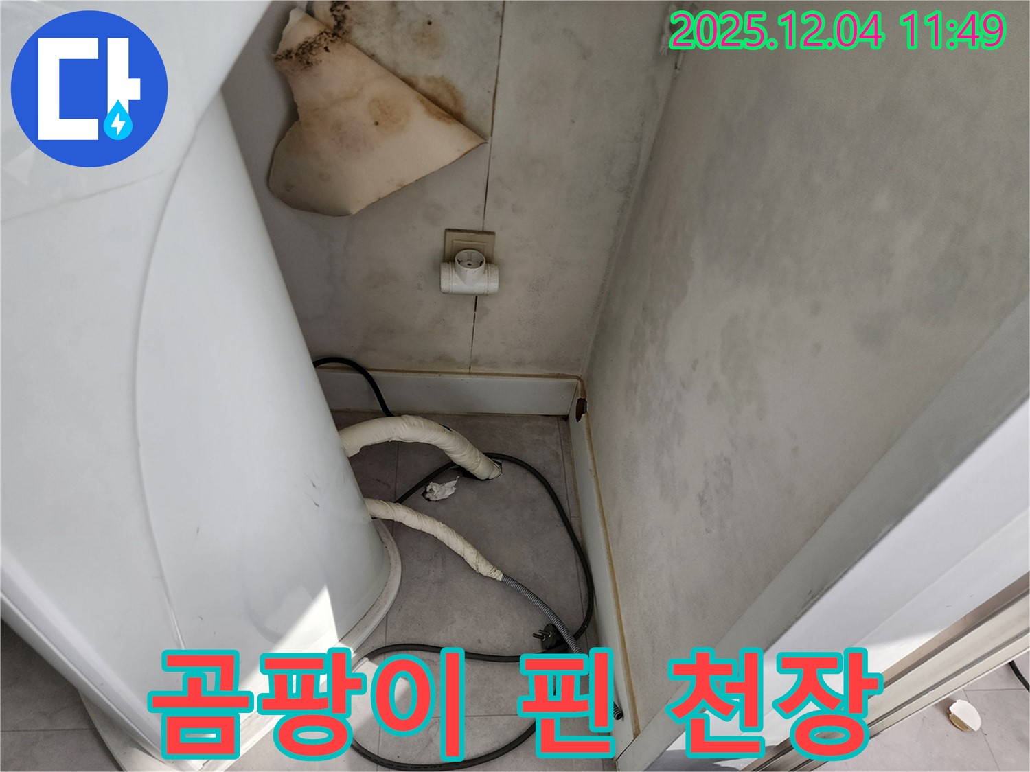 포천 일동 곰팡이 핀 천장 - 누수로 인한 심각한 곰팡이 발생