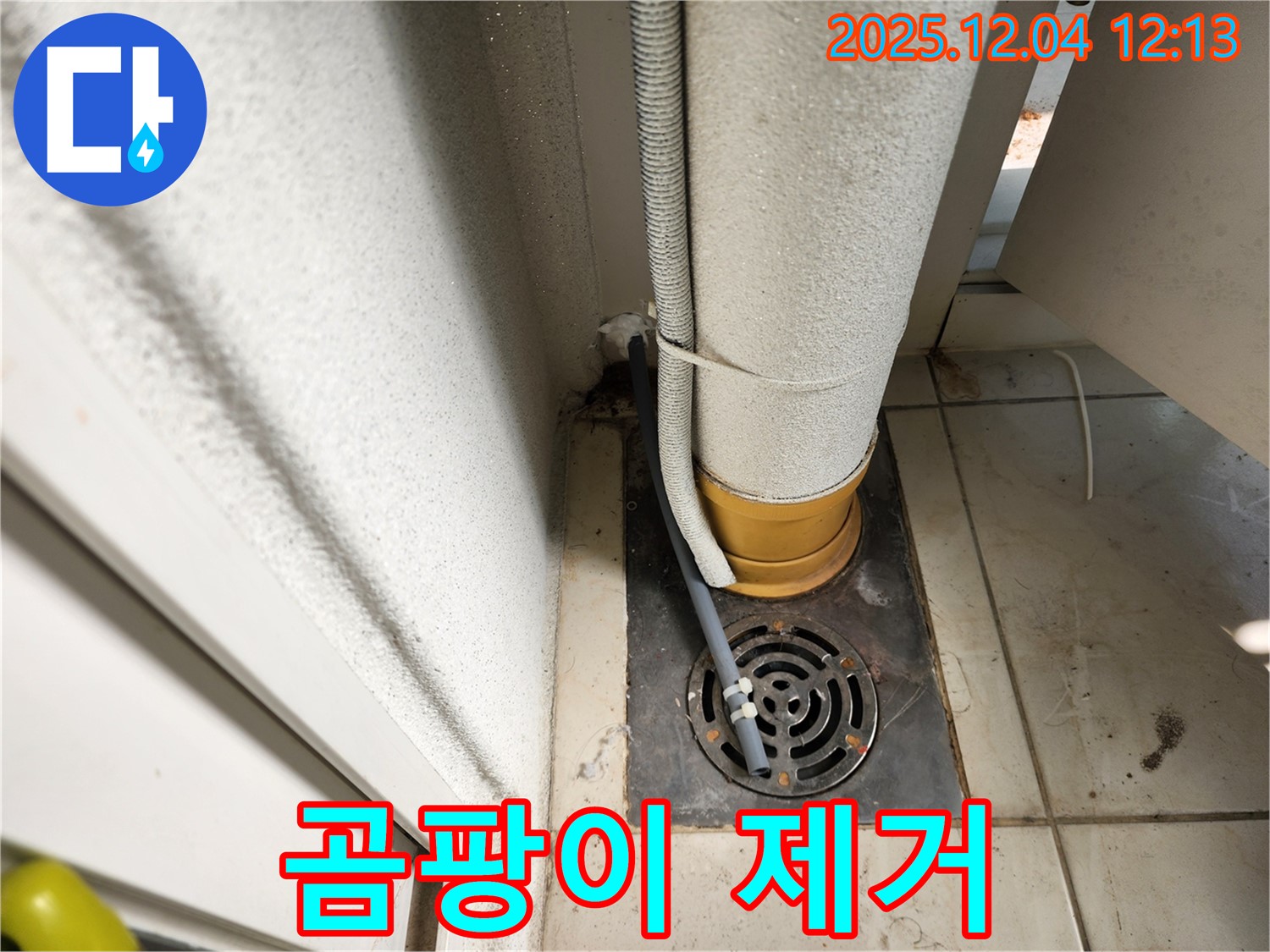 포천시 일동면 기산리 배수구 주변 곰팡이 발생 - 곰팡이 제거 및 방지 시공으로 쾌적하게!