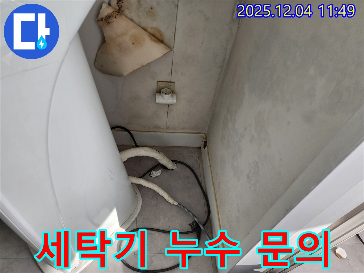 포천시 일동면 - 세탁기 뒤 젖은 벽, 콘센트 곰팡이 - 감전사고 위험, 즉시 전문가 문의