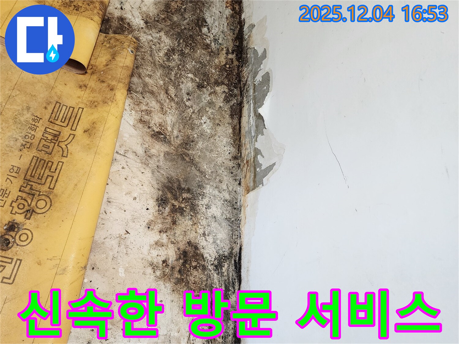 신속한 방문으로 누수, 곰팡이, 석고보드 문제 해결