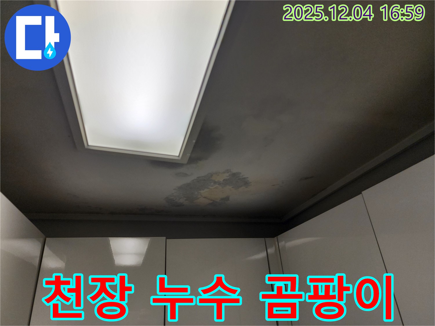천장 누수 곰팡이 - 곰팡이 제거 필요