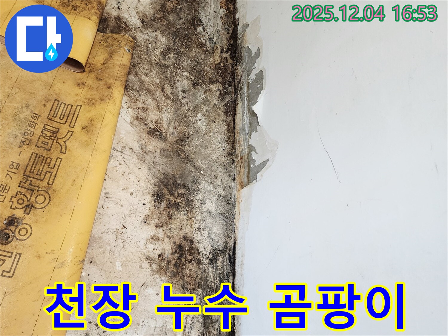 천장 누수와 곰팡이 - 누수 해결 및 곰팡이 제거 시공