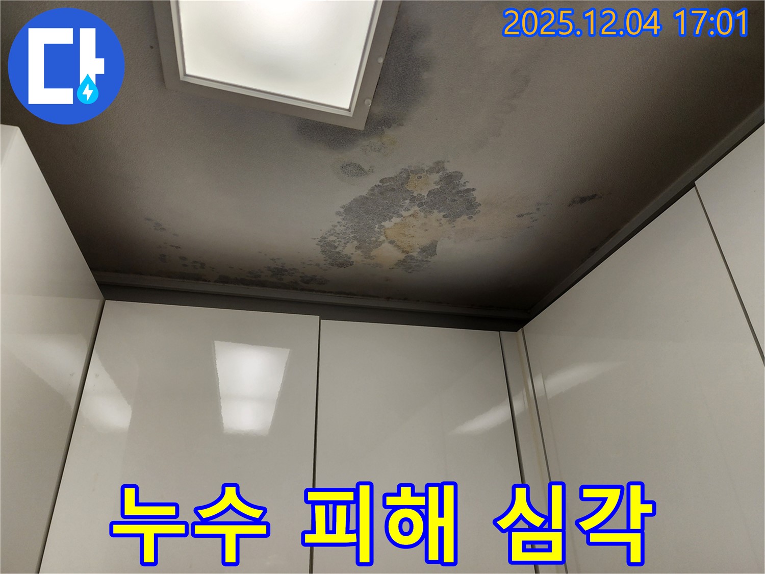 포천 일동면 천장 누수 - 누수 피해가 심각한 상황