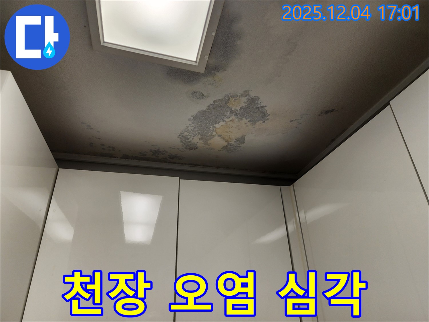 포천 일동면 천장 누수 - 심각한 천장 오염과 곰팡이 발생