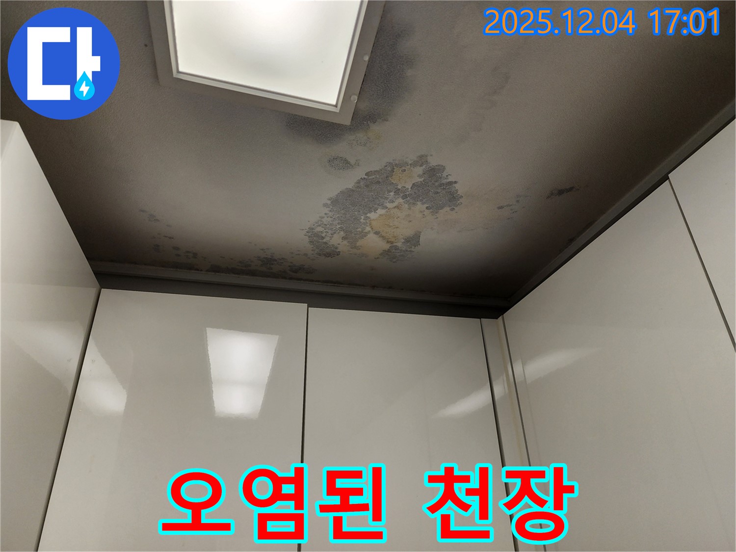 포천 일동면 천장 누수 - 심하게 오염된 천장