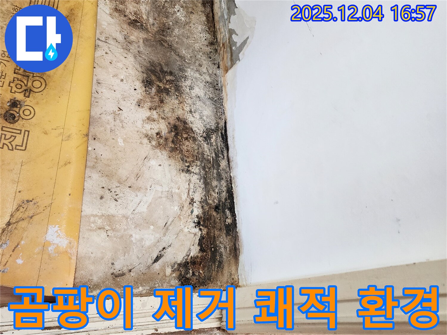 포천 일동면 화대리 누수 현장 - 곰팡이 제거 후 쾌적한 환경 조성
