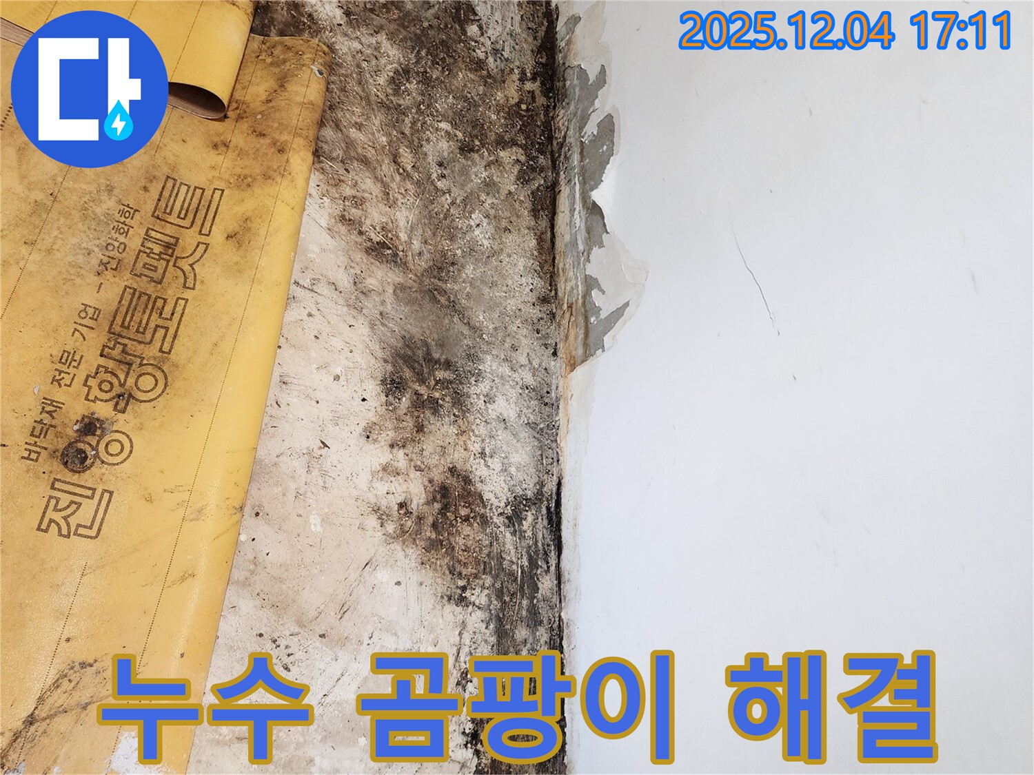 포천시 일동면 화대리 누수 현장 - 곰팡이 문제 해결