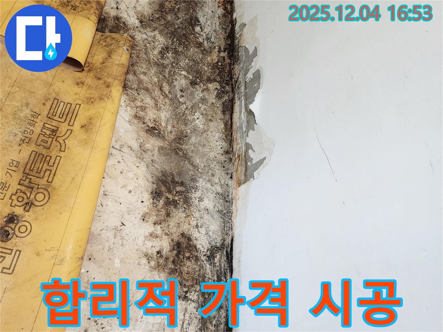 합리적인 가격으로 누수, 곰팡이, 방수 문제 해결