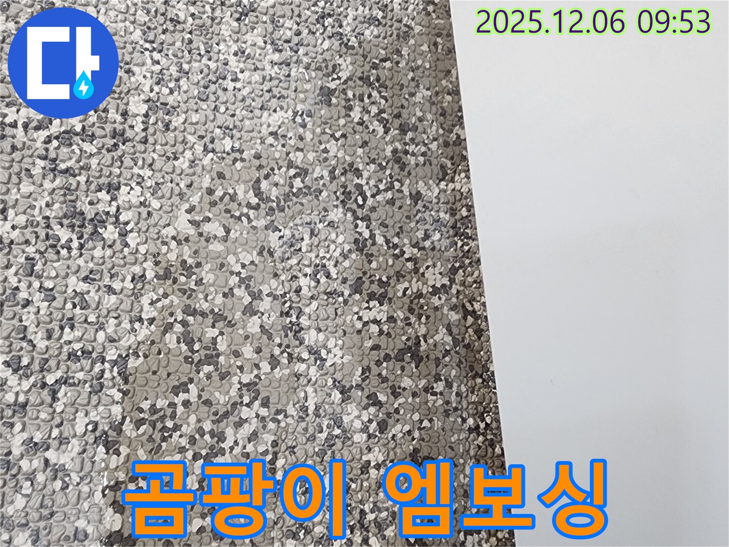 곰팡이 핀 엠보싱 장판 - 엠보싱 장판에 곰팡이가 심하게 핀 모습