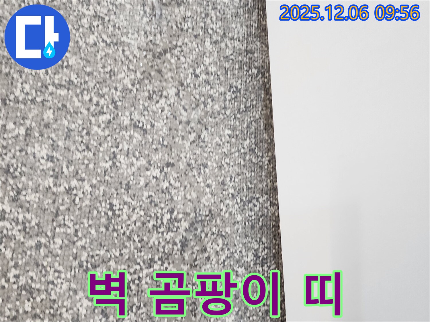 벽 곰팡이 띠 - 누수가 진행되고 있을 가능성이 높습니다