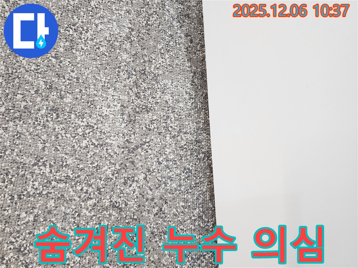 벽 곰팡이 - 숨겨진 누수 의심 - 건강 위협