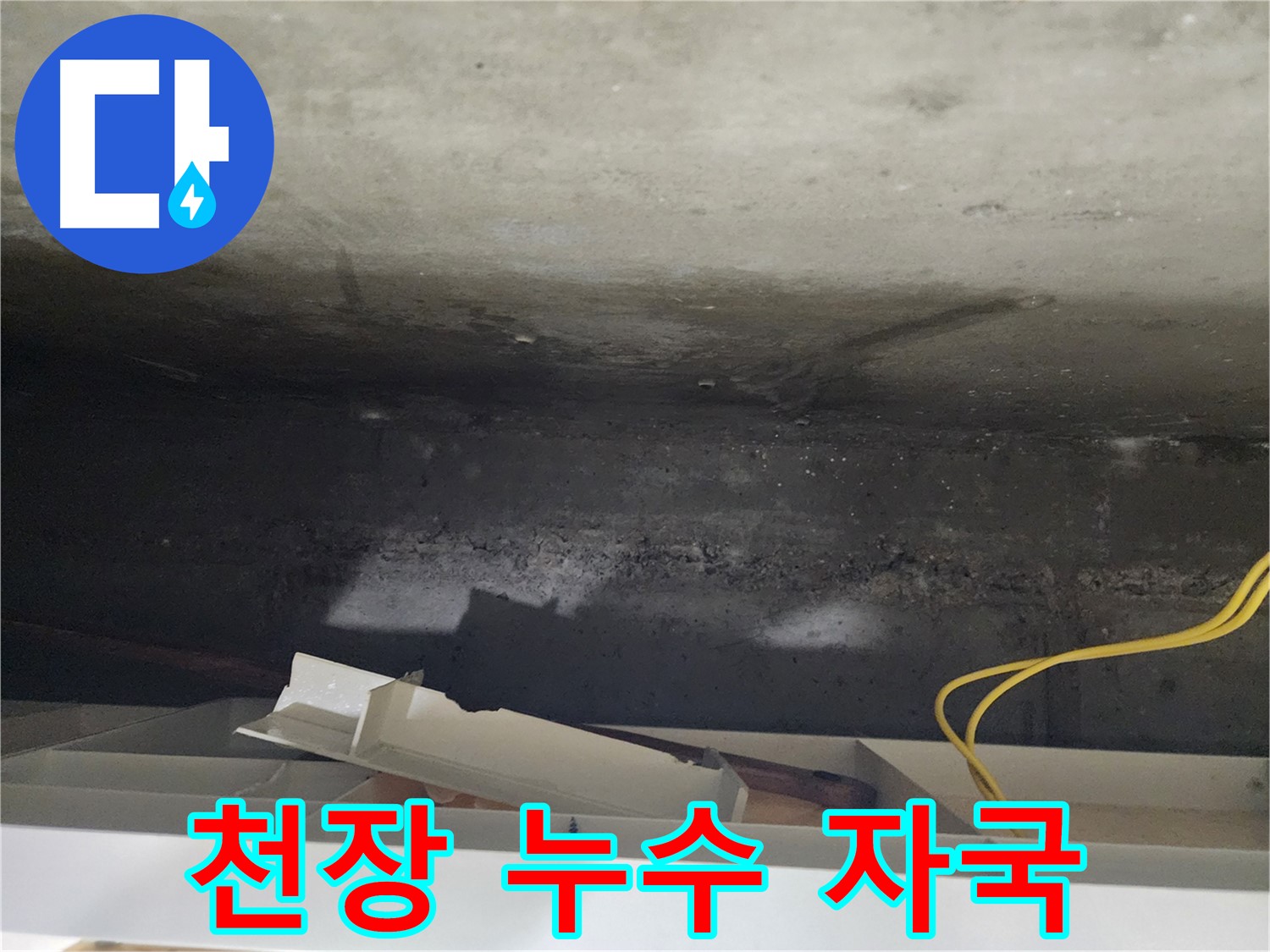 기흥구 콘크리트 누수탐지 최신 장비 - 최신 누수탐지 장비를 사용하여 누수 지점을 정확하게 찾아냅니다.