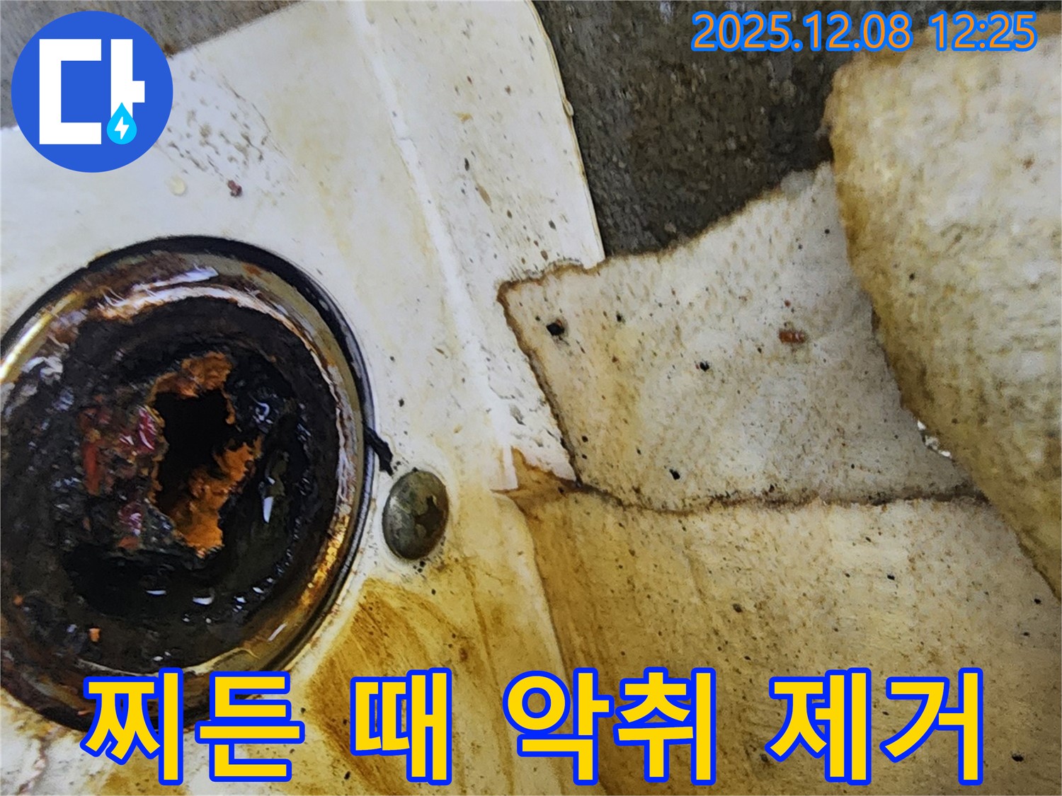 싱크대 찌든 때와 악취 - 누수와 함께 발생하기 쉽습니다.