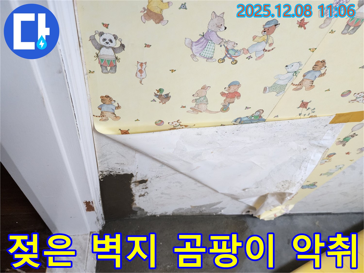 거사리 누수 현장 - 젖은 벽지, 곰팡이, 악취, 누수 3종 세트 발생
